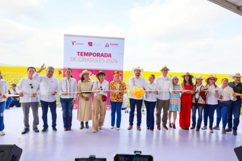 Respalda Gobierno de Tamaulipas promoción de campos de girasoles