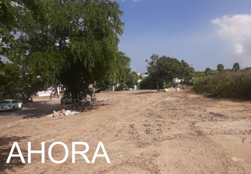 Rescata la PAUT predio en Tampico tras retiro de escombros y desechos