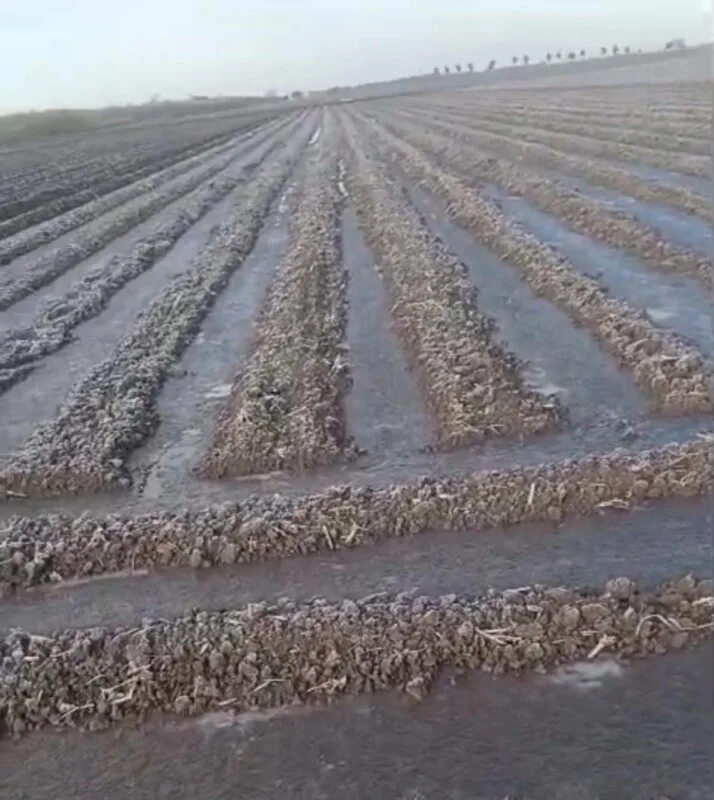 Avanza SEDUMA en proyecto del Centro Integral de Residuos para Victoria