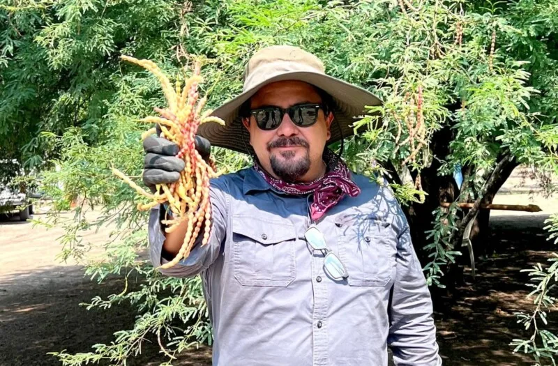 «Raíces tamaulipecas» muestran la riqueza gastronómica del estado