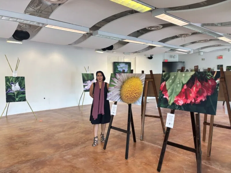 Exhiben la belleza de la Biósfera El Cielo a través de exposición fotográfica