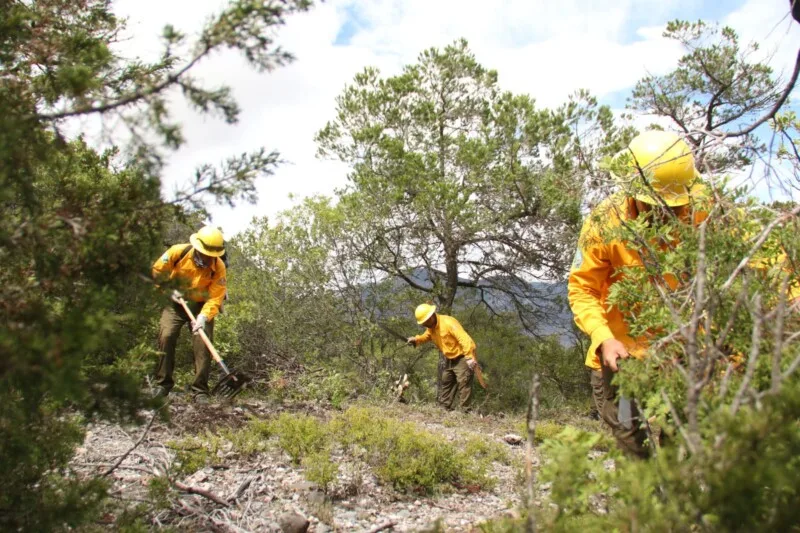 Fortalece Tamaulipas respuesta ante incendios forestales