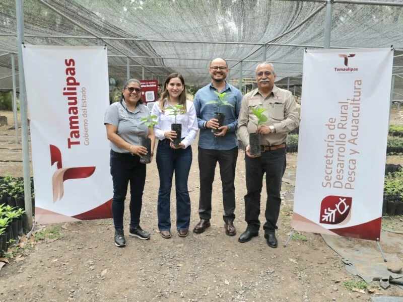 Promueven Gobierno del Estado y Congreso de Tamaulipas reforestación ambiental