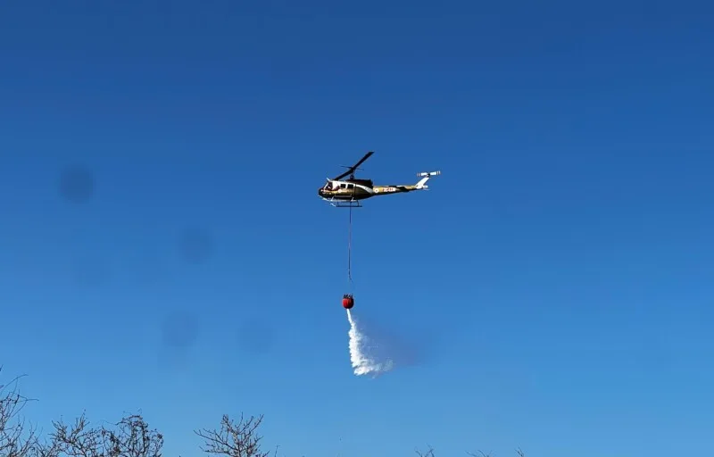 Liquidan incendios en Tamaulipas; se castigará a los responsables
