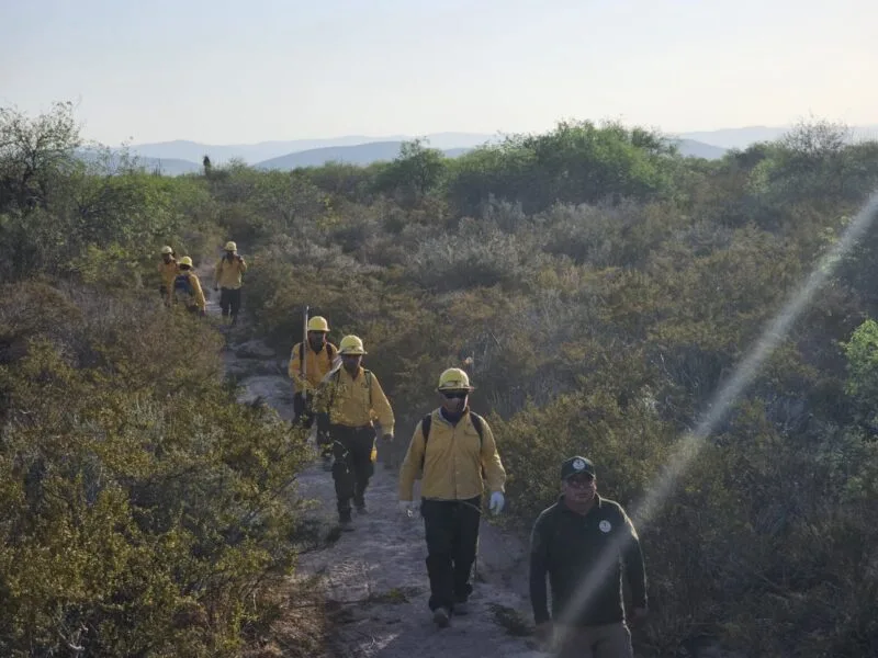 Refuerzan brigadistas de la SEDUMA combate a incendio de pastizales en Tula