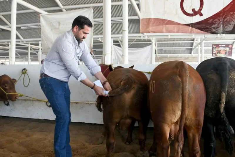 Destina Gobierno de Tamaulipas 19 millones de pesos para mejoramiento genético