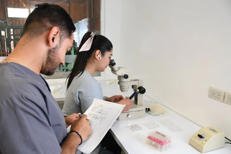 Reactivarán Centro de Mejoramiento Genético para fortalecer la ganadería en Tamaulipas