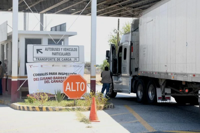 Coordinan esfuerzos Estado y Federación contra el gusano barrenador