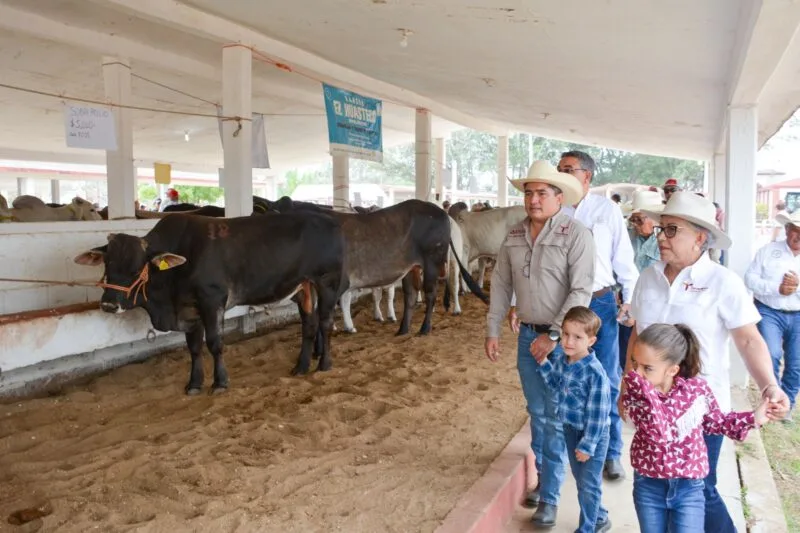 Llevan Programa de Mejoramiento Genético al municipio de Aldama