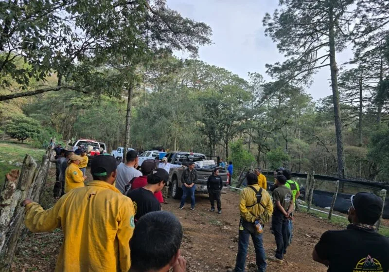 Coordinan acciones para el control del incendio forestal en Reserva de la Biosfera El Cielo