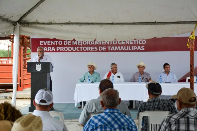Impulsa Tamaulipas sector ganadero con Programa de Mejoramiento Genético
