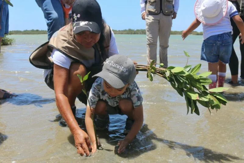 Transforman litoral tamaulipeco con acciones que protegen y educan