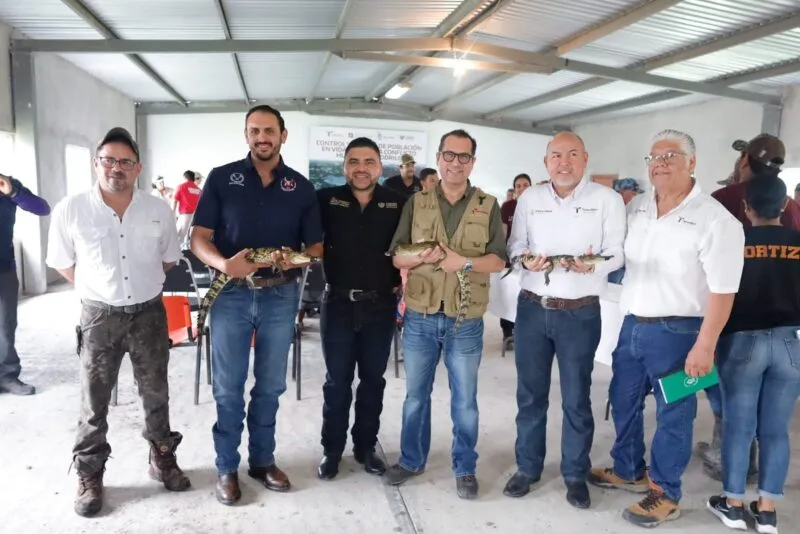 Colabora la UAT en la conservación y control del cocodrilo de morelet