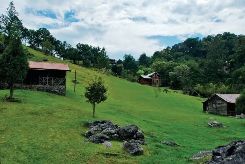 Es Biósfera El Cielo, un paisaje maravilloso en Tamaulipas