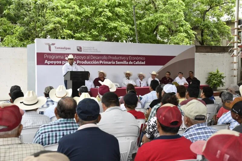 Fortalecen producción agrícola en Aldama, Altamira y González con entrega de semilla