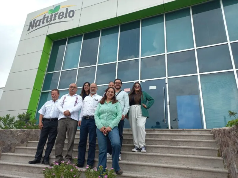 Realizan segunda prueba para la fabricación de harina nixtamalizada de sorgo blanco