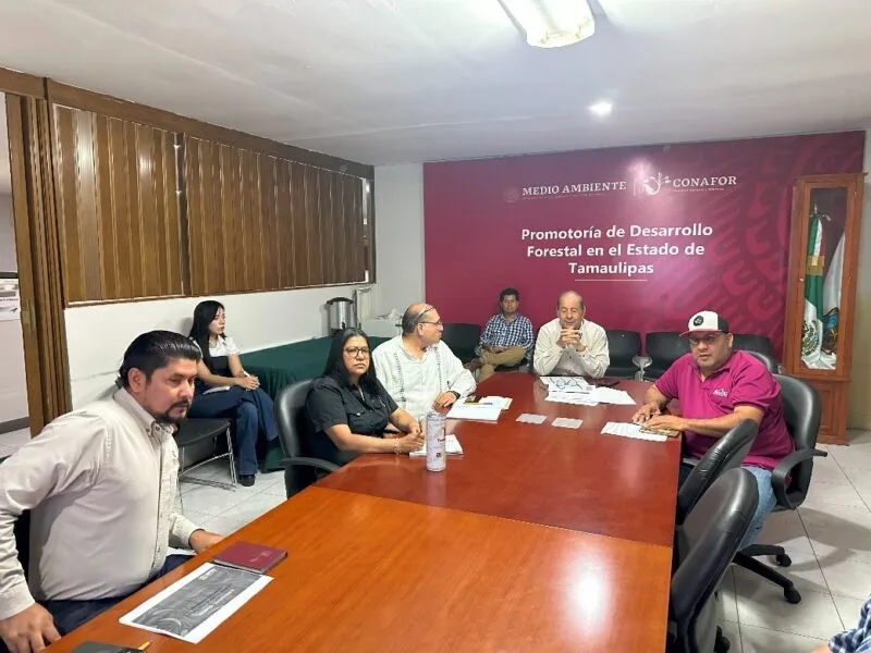 Presentan avances del programa operativo 2025 en reunión de sanidad forestal