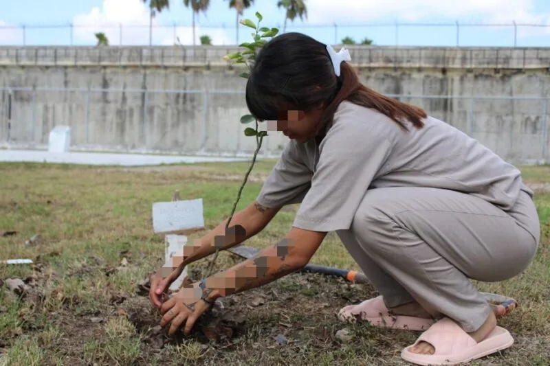 Reforestan CEDES Matamoros con plantación de árboles frutales