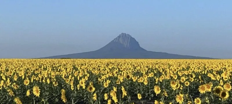 Prepara Turismo “La Ruta del Bernal” en González