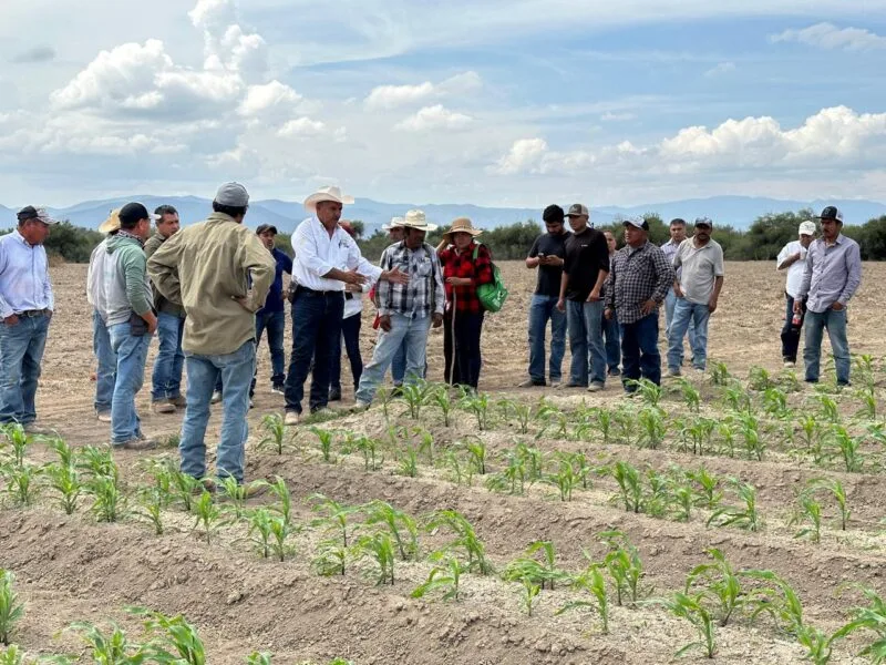 Impulsan productividad y sostenibilidad del sector agropecuario tamaulipeco