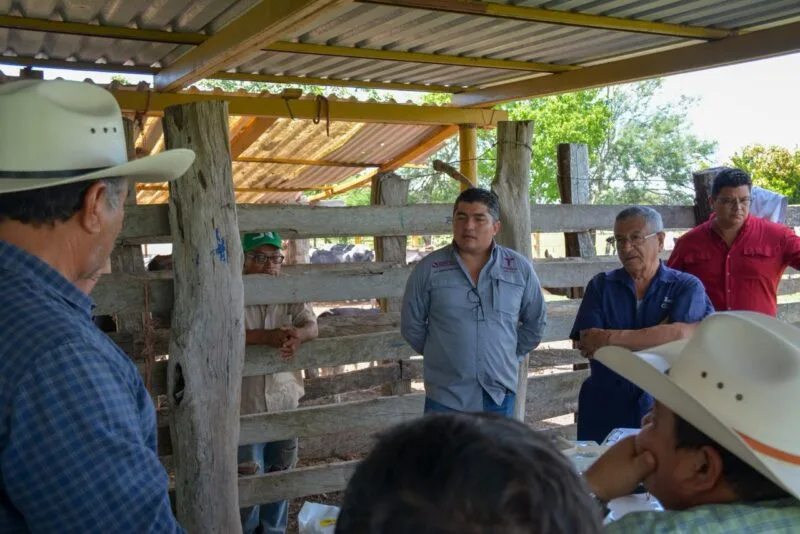 Inicia proyecto de mejoramiento genético con tecnología in vitro en Aldama y Altamira