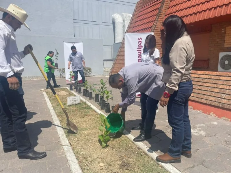 Entrega Secretaría de Desarrollo Rural de Tamaulipas 300 plantas para reforestación de áreas verdes