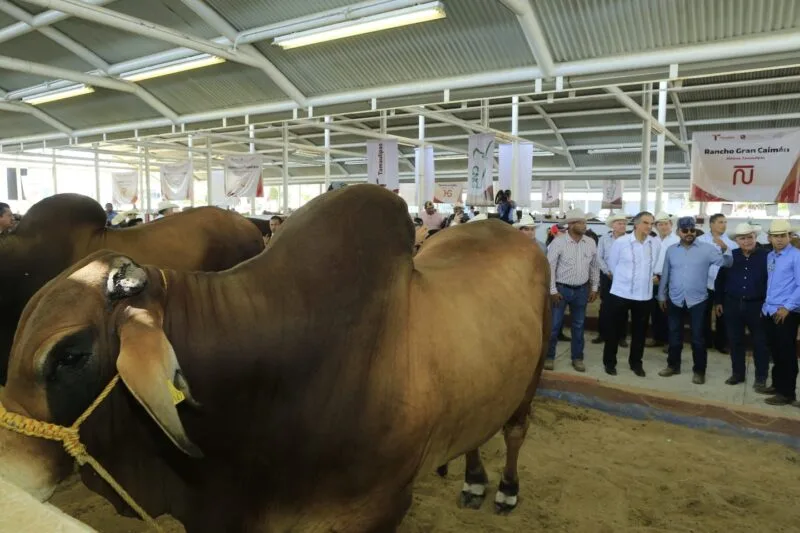 Inaugura Américo Villarreal exposición ganadera en la Feria Tamaulipas 2025
