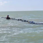 Garantiza supervisión técnica buenas prácticas acuícolas en Tamaulipas