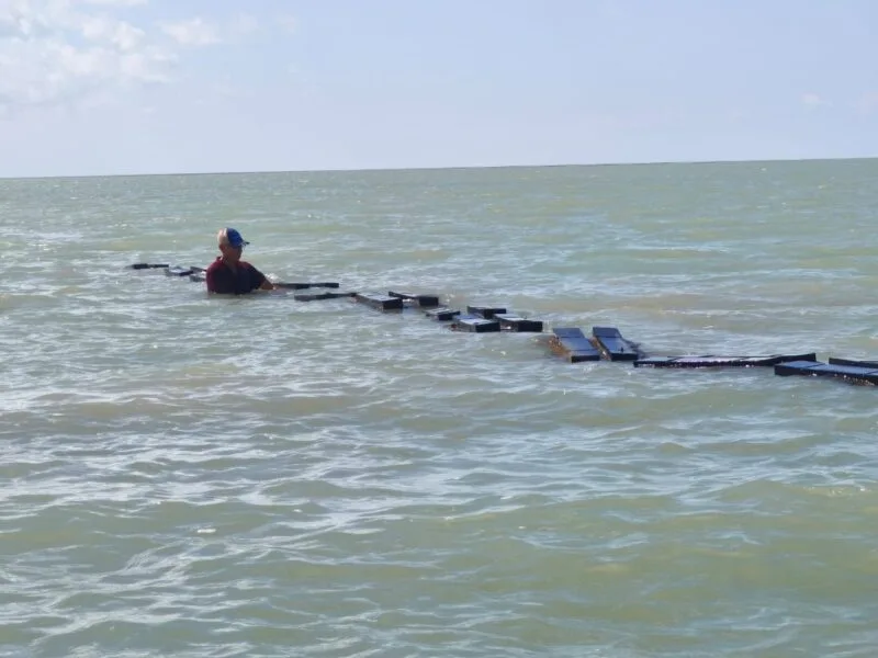 Garantiza supervisión técnica buenas prácticas acuícolas en Tamaulipas