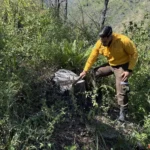 Fortalecen SEDUMA Y CONAFOR estrategia para preservar riqueza ambiental de Tamaulipas