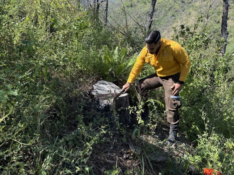 Fortalecen SEDUMA Y CONAFOR estrategia para preservar riqueza ambiental de Tamaulipas