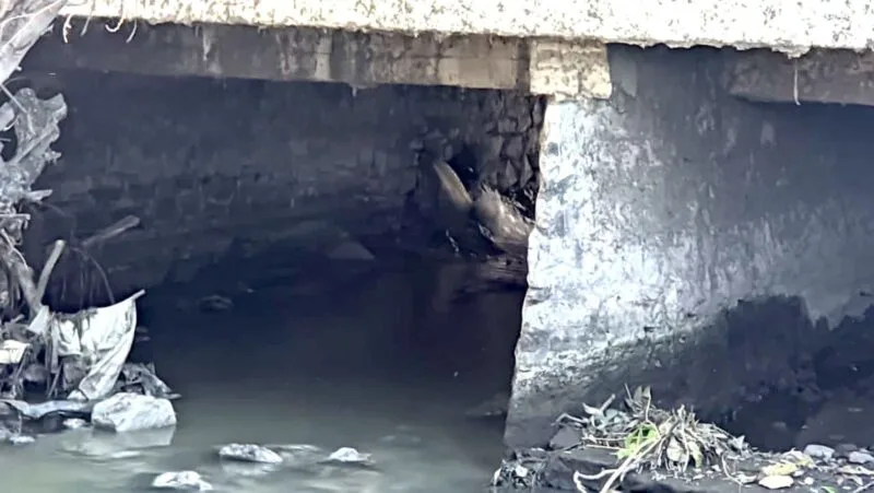 Atienden la PAUT posible riesgo ambiental en El Mante por fuga en drenaje