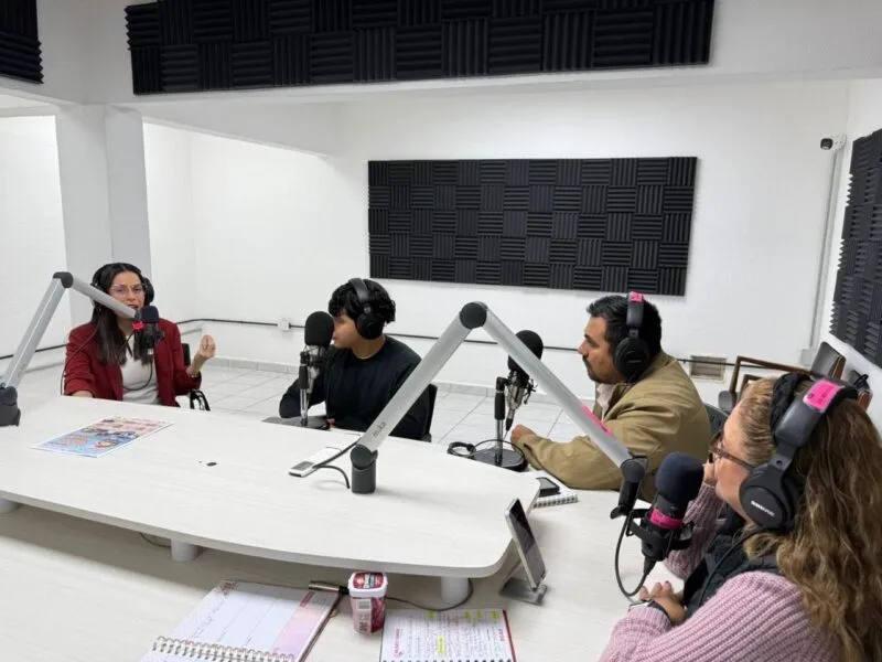 Promueve SIPINNA Tamaulipas estrategias de protección ante la violencia vicaria en coordinación con el Instituto de las Mujeres