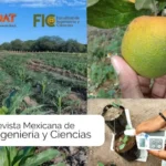 Anuncia la UAT publicación de revista de Ingeniería y Ciencias