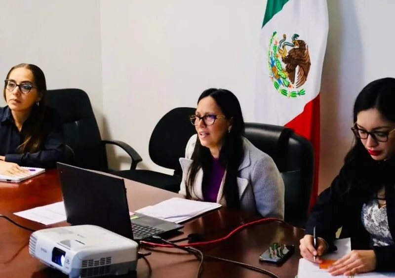 Participa Tamaulipas en sesión nacional para homologar la información pública y fortalecer la transparencia