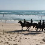 Agrupamientos Policiales de la Guardia Estatal amplían su alcance con operativos que impactan a miles de tamaulipecos