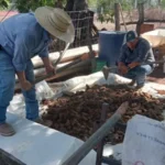 Promueven producción y uso de lixiviados en Xicoténcatl