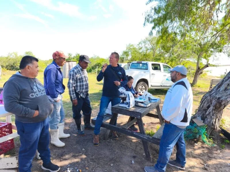 Mejora Gobierno de Tamaulipas acompañamiento técnico al sector acuícola en San Fernando
