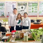 Innovación UAT: Crean panel de bagazo de caña para construcción