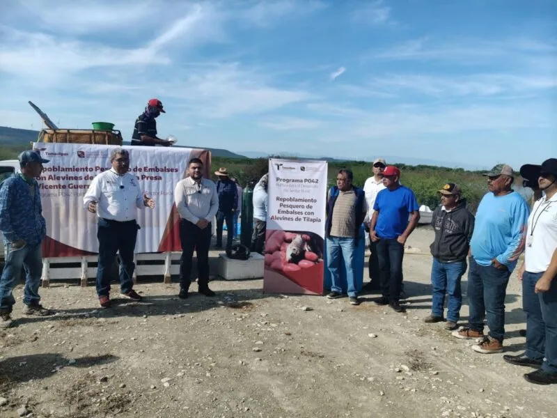 Presas de Tamaulipas reciben alevines para impulsar la pesca comercial