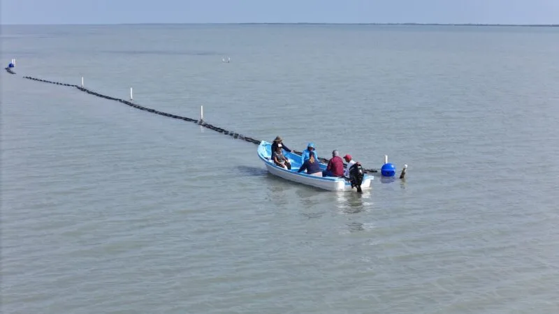 Arranca 2026 con acciones de sanidad acuícola en granja de ostión de Aldama