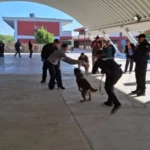 Guardia Estatal refuerza seguridad escolar con binomio canino
