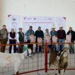 Caprinocultura y valor agregado, ejes del Festival del Cabrito 2026