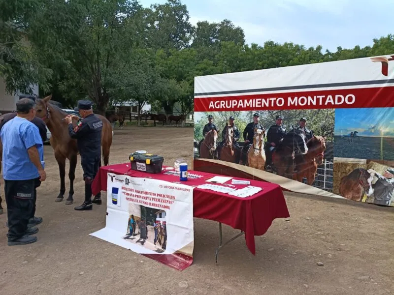 Implementa Guardia Estatal campaña permanente contra gusano barrenador en animales policiales