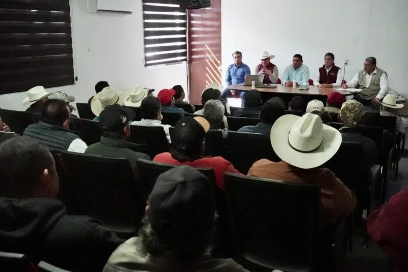 Avanza Tamaulipas en la prevención del gusano barrenador del ganado