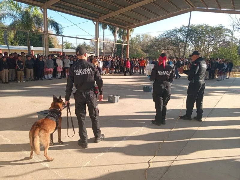Con binomio canino antidrogas la Guardia Estatal refuerza la prevención en escuelas