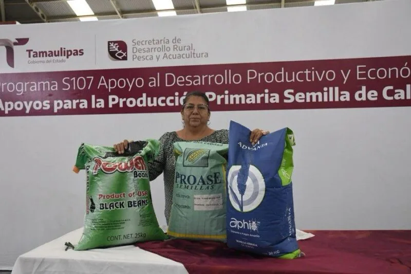 Productores podrán acceder a apoyos de semilla para cultivos estratégicos