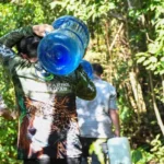 Refuerzan protección de fauna silvestre ante ola de calor en Tamaulipas