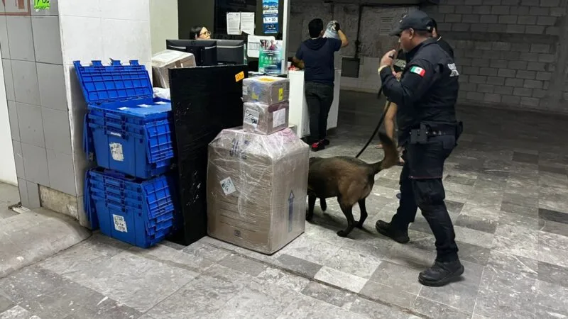 Realiza Agrupamiento Canino de la Guardia Estatal operativo para detectar narcóticos en Central de Autobuses