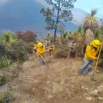 Refuerzan operativo interinstitucional para combatir incendio forestal en Miquihuana